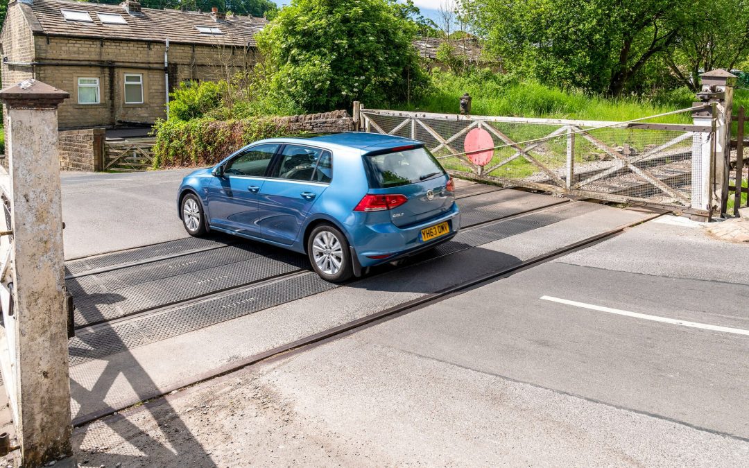 Road Crossing In Action